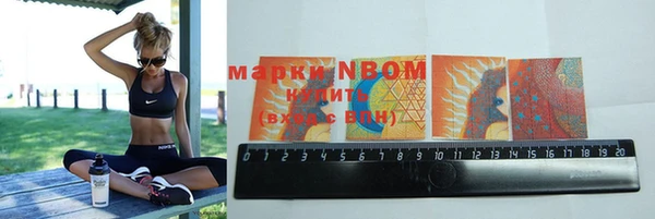 дмт Кукмор