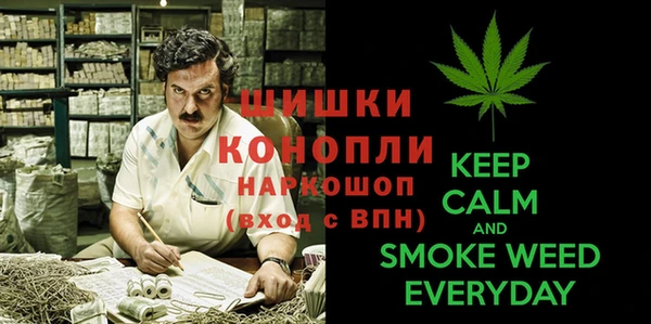 дмт Кукмор