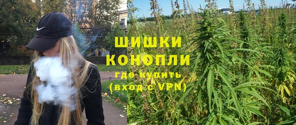 гашик Кулебаки