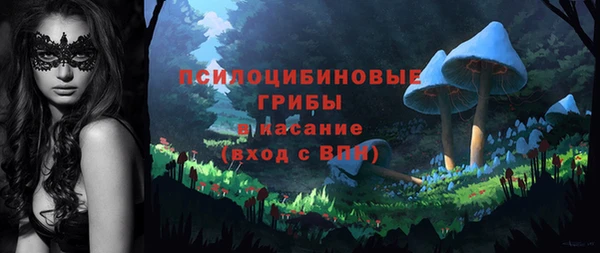 хмурый Куйбышев